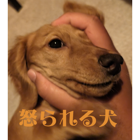 E5872981 ca29 458f a339 c12acf1f11d4 s