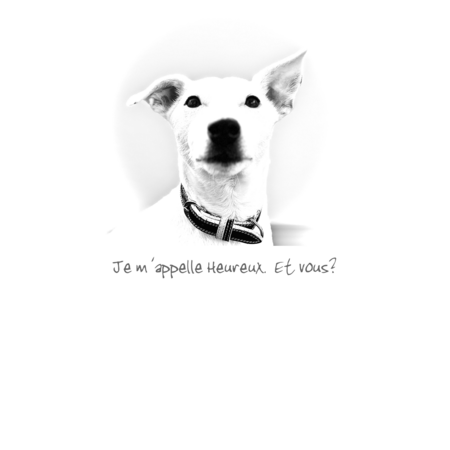 284cec0c b401 4626 b97f e53b7f60e546 s