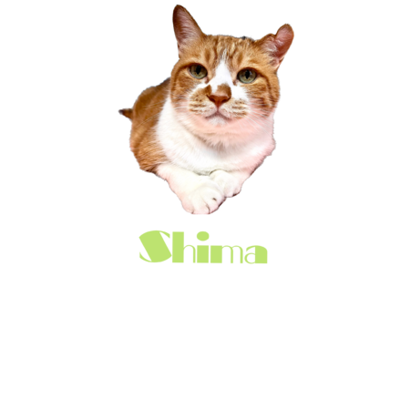 654d6767 1ba5 4dfa bd18 fa34f7717286 s