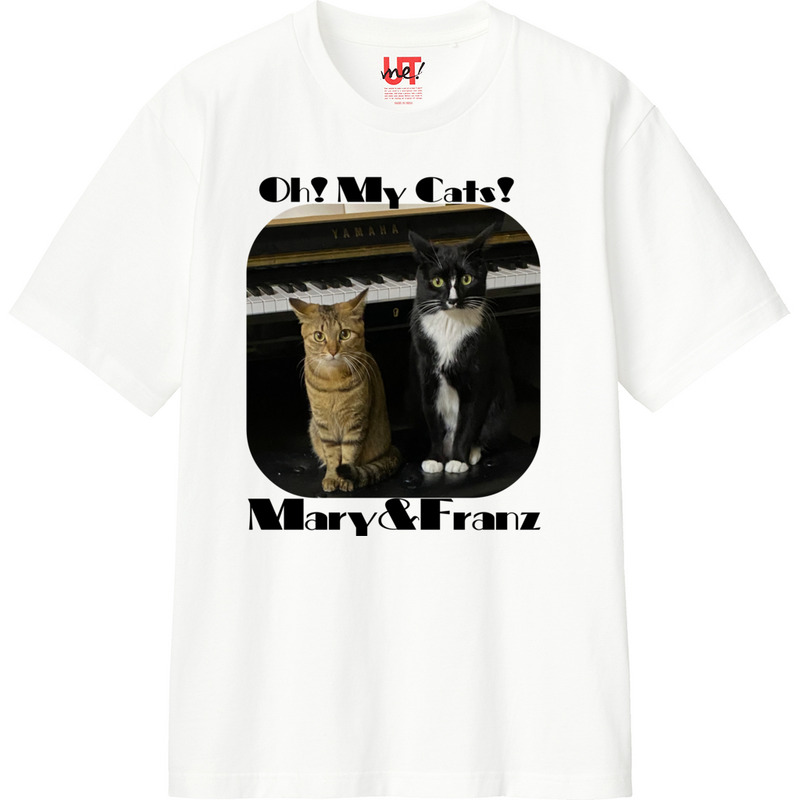 8ee033c7 41a6 4e15 9f30 af57b0df8cac 110 print ll