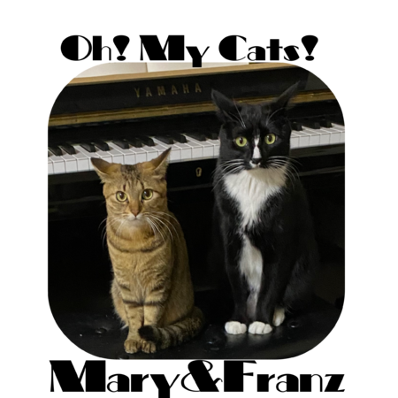 8ee033c7 41a6 4e15 9f30 af57b0df8cac s