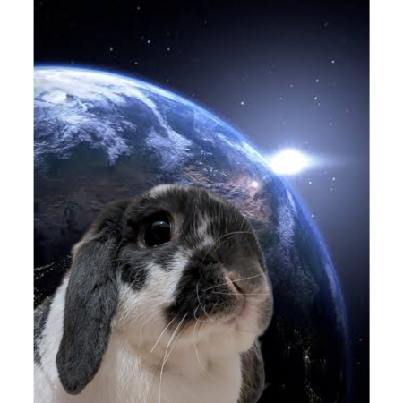 5d93f284 c0cf 4e41 a582 2f78a7bd8a7a s