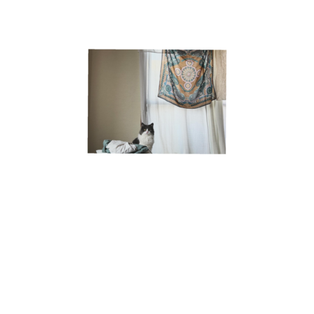 80d9fe25 8372 4fce a882 a3d4873db4f6 s