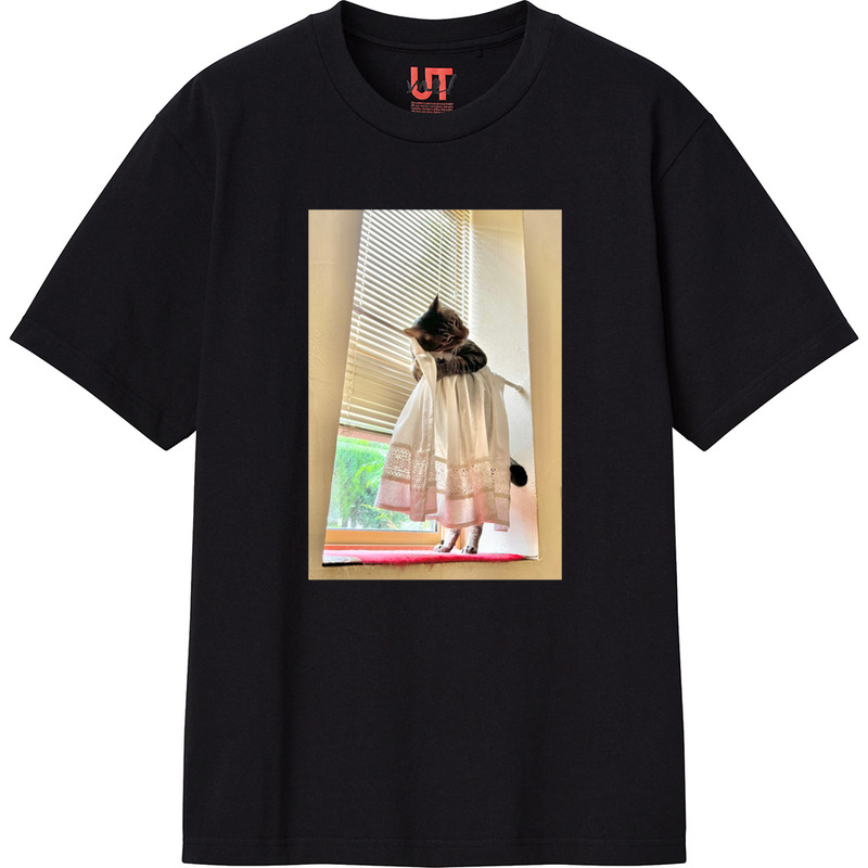 B7068cef 575b 4173 81b7 05aefc83d1cd 111 print ll