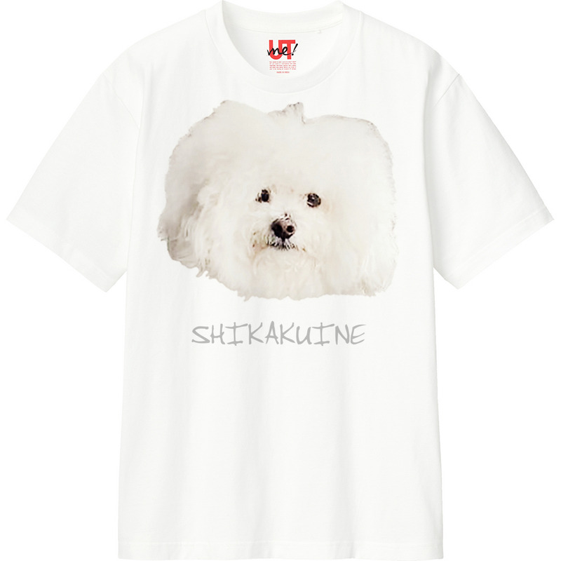 Bfdfa76a 16a7 4465 8a8f 3cb25f3b4e32 110 print ll