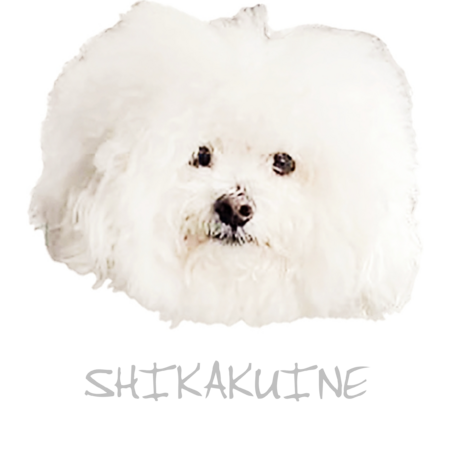 Bfdfa76a 16a7 4465 8a8f 3cb25f3b4e32 s