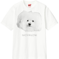 59e5ecb8 bce9 40c0 8834 84f21c3bcde1 110 print s