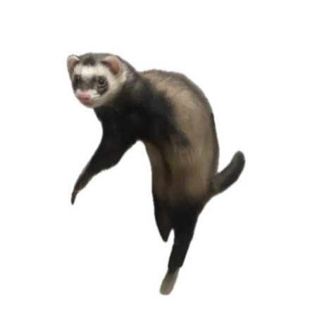 6bcdbc7d c74a 4f25 ab93 773433ff2a0c s