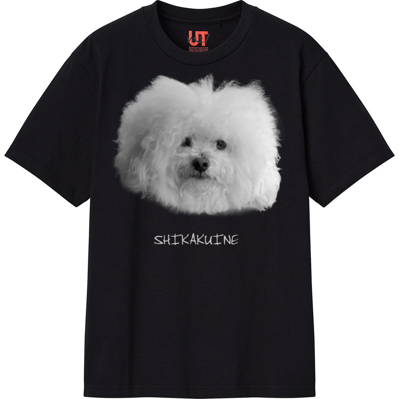 A2b5b954 5ce6 42a2 b864 a0675906edc1 111 print ll