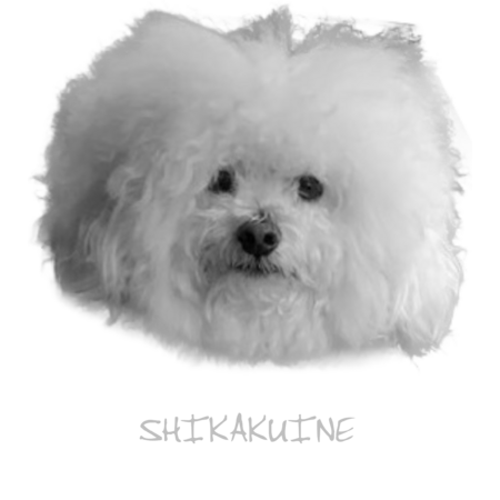 A2b5b954 5ce6 42a2 b864 a0675906edc1 s