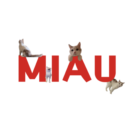 4393d788 97e6 4947 8c17 568ce0491313 s