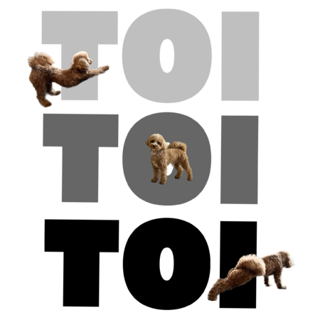 6a4a8ad9 9fdc 4cdb 8291 da9dfbb424da s