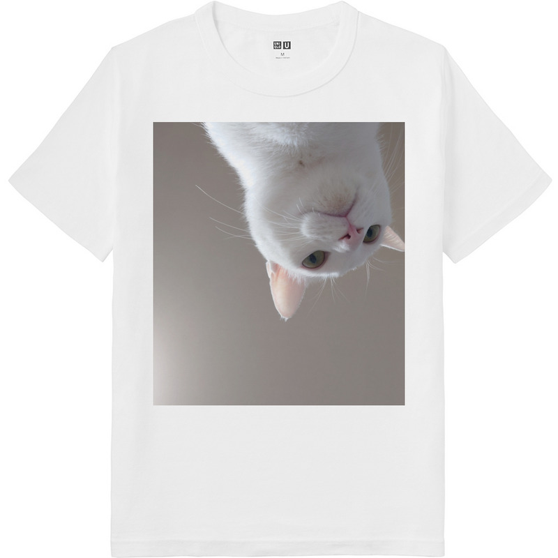 E8f31bf9 4ccb 417e ae61 adfaa19a2f91 64 print ll