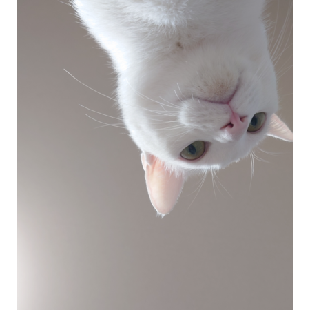 E8f31bf9 4ccb 417e ae61 adfaa19a2f91 s