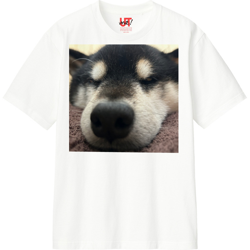 5adf5936 1b0a 499f 98b3 1bc37d703e14 110 print ll