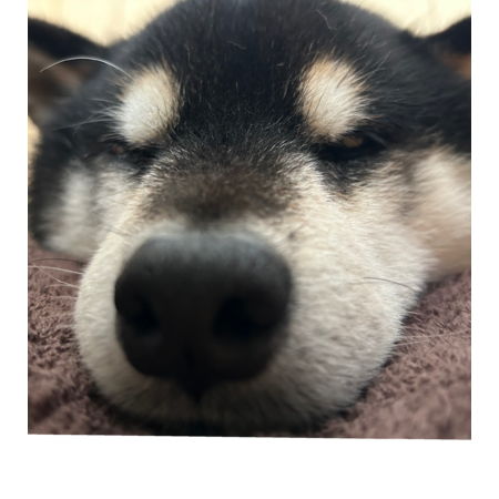 5adf5936 1b0a 499f 98b3 1bc37d703e14 s