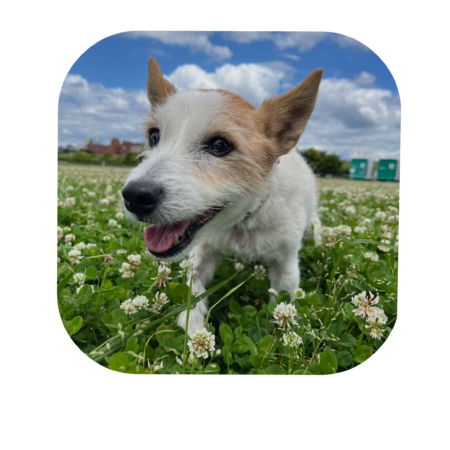 2d0ffabd 9b40 45e6 a2d0 31d4afc0a54c s