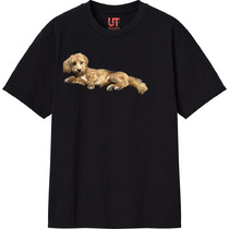 4271492e ca15 4d04 98e2 eadb5d75cace 111 print s