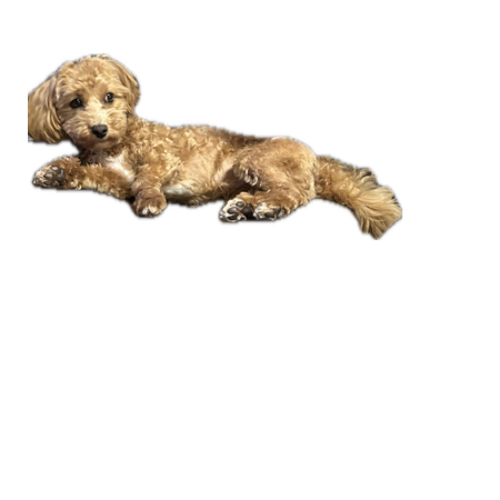 4271492e ca15 4d04 98e2 eadb5d75cace s