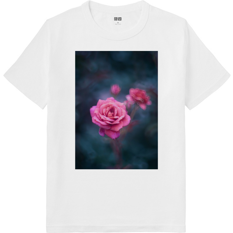 B5bbf30d 0d85 4cb7 b6ac ca6896615b1c 64 print ll