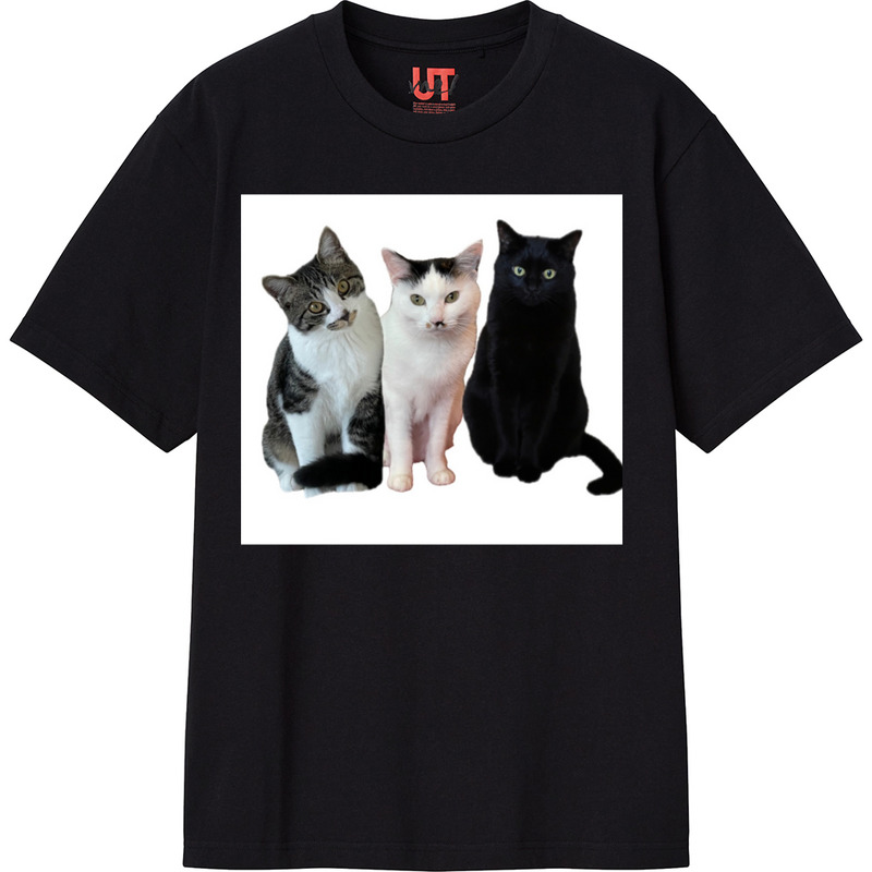 Dcc7ab9b 6337 4872 a68b 3077d5648929 111 print ll