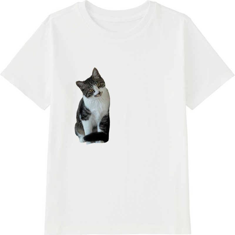 38d061c4 f9e2 4749 8a50 cf568c74909f 45 print ll