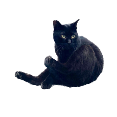 2bf13e43 e981 430e a38a 246593443212 s