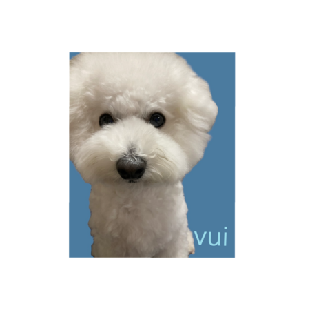 83898487 669d 47eb b9ad 02a868f5466c s