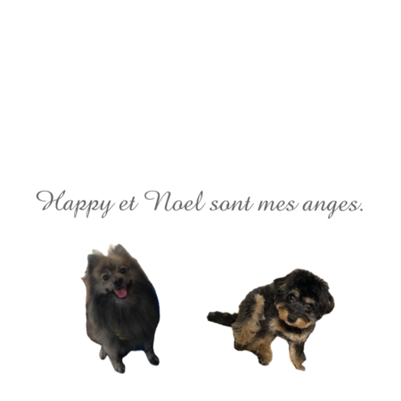 A7780c53 e27c 41a0 ade9 b1875d10120c s