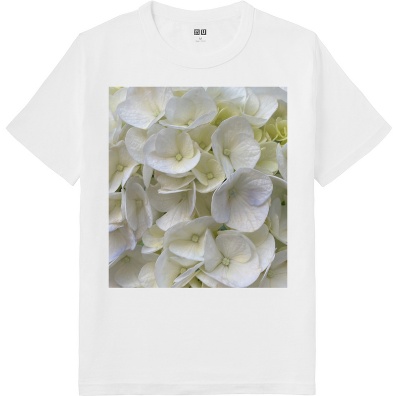 Ed8d14b3 16c4 4b9b bceb 10c8a51bf4f6 64 print ll