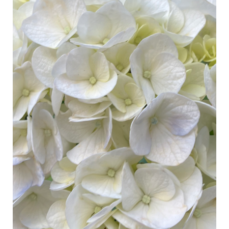 Ed8d14b3 16c4 4b9b bceb 10c8a51bf4f6 s