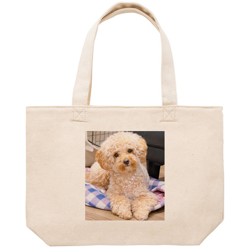 Dd9533bb f999 4c46 81f5 1e79d4ca73e1 53 print ll