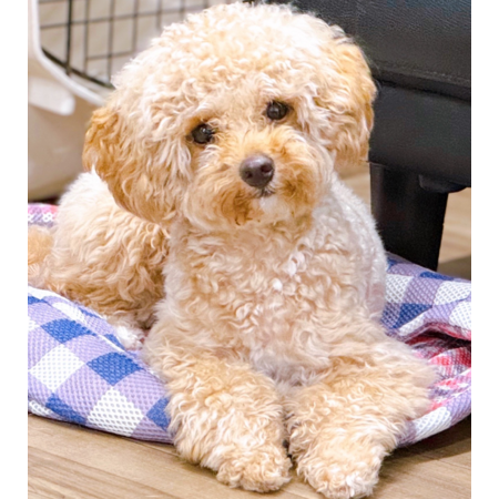 Dd9533bb f999 4c46 81f5 1e79d4ca73e1 s