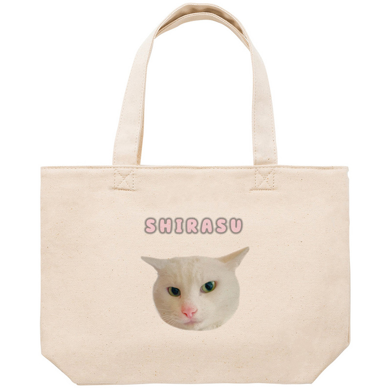 36f74ac1 bd9d 4d2a b9e8 c2875cfe0404 53 print ll