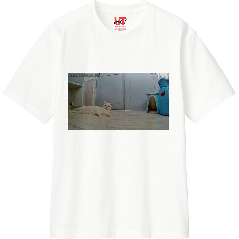 D821073f 5389 4401 9adf b77cc9e51e4f 110 print ll