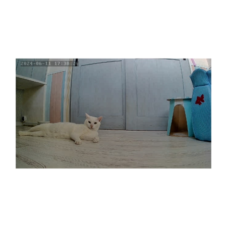 D821073f 5389 4401 9adf b77cc9e51e4f s