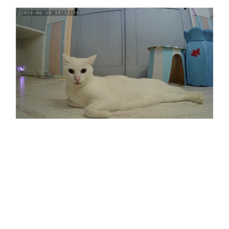 96324c99 c629 4b07 96be 55036cfac936 s