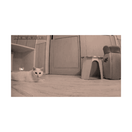 611369db ad4e 4125 ba00 8e3f4e280541 s