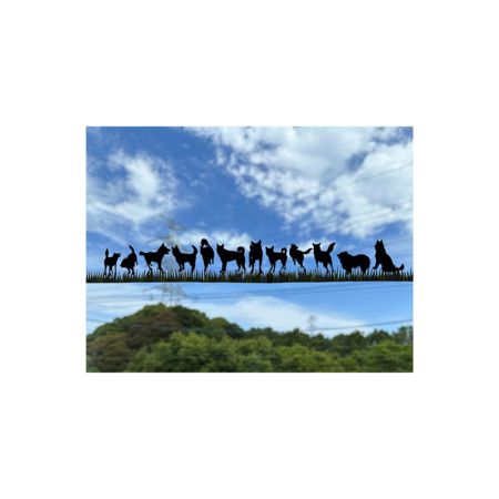 3af1ddd3 ce15 49c1 a0fe 49faf4f1b1de s