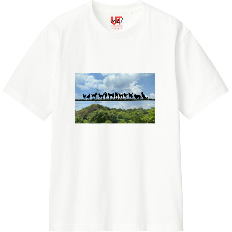 33b9a295 019a 4ce6 98d1 3af813bda56e 110 print ll