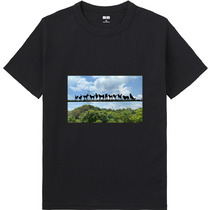 33b9a295 019a 4ce6 98d1 3af813bda56e 65 print s