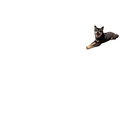 Ec1f6085 1b83 4de1 8d8c 2563c17095b0 s