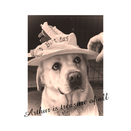 972a9fb4 69ba 402b 9d61 177286e9155d s