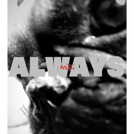 703061e3 19b7 4cac 9578 c417ff70f8b4 s