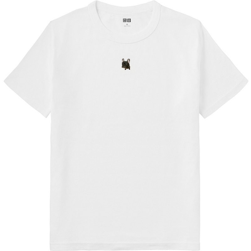 87453319 7cce 4d1d b8cd 84ac570c5fe4 64 print ll