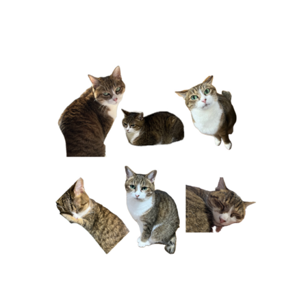 544e32f4 5b34 4ba2 b857 e4aa20d11b9b s