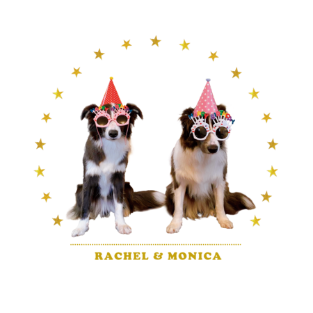 Cc07842a 508f 47e4 9e5d 1a28e16c6500 s