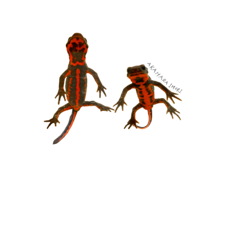 Dcfff33b 8e55 437a aa20 cf286b308f6e s