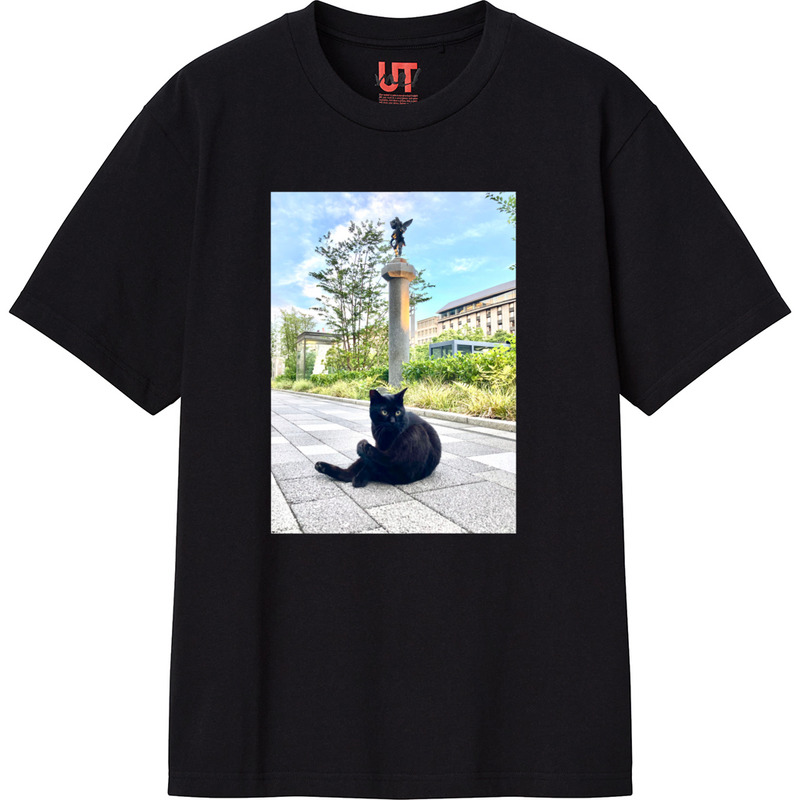 39ef86a9 ab09 4100 bf1f c44d484fdecd 111 print ll