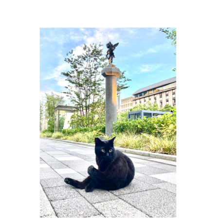 39ef86a9 ab09 4100 bf1f c44d484fdecd s